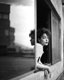 Ilford FP4 Plus 125 - B/W film - ISO 125 - 35mm - 36 exp