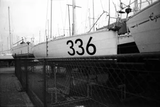 KONO! CINIS 400 BW Film - 35mm Film - 36 Exp - Roll