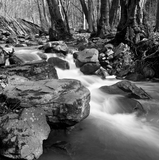 ILFORD DELTA 100 Professional - BW Film - 8-16exp - 120 Film - ISO 100