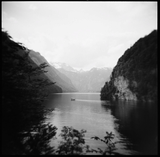 ILFORD DELTA 100 Professional - BW Film - 8-16exp - 120 Film - ISO 100