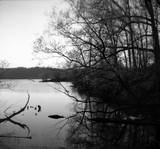 ILFORD DELTA 100 Professional - BW Film - 8-16exp - 120 Film - ISO 100