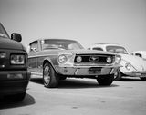 ILFORD DELTA 100 Professional - BW Film - 8-16exp - 120 Film - ISO 100