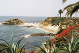Cinestill 50D - 35mm Film - Color Negative Film - 36 Exp - ISO 50