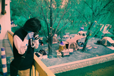 Harman Switch Azure - ISO 125 - 36exp - 35mm Color Film
