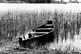 Adox CMS 20 II - 35mm Film - ISO 20 - 36 Exp - BW Film