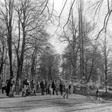 Adox CHS 100 II - 120 Film - ISO 100 - 8-16 Exp - BW Film