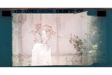 Lomography Color's 92 Sun-kissed - ISO 400 - 110 - 24 Exp