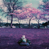 [110] Analogue Trio Mixed Film Pack