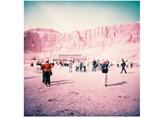 Lomochrome Purple - ISO 400 - 10-16Exp - 120mm