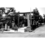 Lomography BW Babylon 13 - ISO 13 - 36 Exp