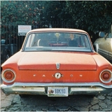 Lomography Tiger Color Negative - ISO 200 - 24 Exp - 110mm