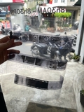 Adofile Polypropylene Negative Sleeves 35mm Oversized - 42 Frames - For 35mm Film