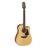 Takamine GD10CE