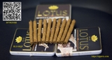 CIGAR LOTUS MINI N02 (Hộp)