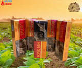 THUỐC LÁ BÔNG SEN LOTUS - RCNĐ (TÚT)