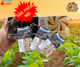 THUỐC LÁ LOTUS ROMANTIC YOGUR HƯƠNG VỊ SỮA CHUA (TÚT)