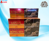 THUỐC LÁ BÔNG SEN LOTUS - RCNĐ (TÚT)