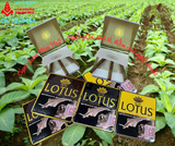 CIGAR LOTUS MINI N02 (Hộp)