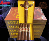 XÌ GÀ LOTUS VICTORY