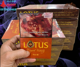 XÌ GÀ LOTUS VICTORY