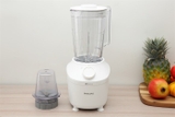Xay sinh tố Philip 2041