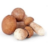 Rau sạch, nấm các loại