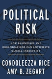 Political Risk: How Businesses and Organizations Can Anticipate Global Insecurity