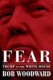 Fear. Trump in the White House
