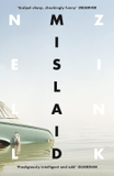 Mislaid: A Witty and Provocative Literary Novel of Race and Identity in Virginia