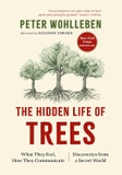 The Hidden Life of Trees: What They Feel, How They Communicate
