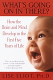 What's Going on in There? : How the Brain and Mind Develop in the First Five Years of Life