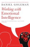Working With Emotional Intelligence
