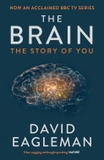 The Brain The Story Of You