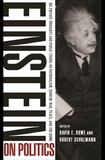EINSTEIN ON POLITICS