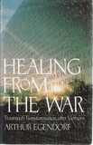 Healing from the War: Trauma and Transformation After Vietnam