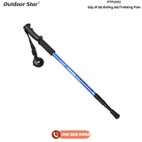 Trekking Pole