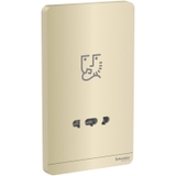 Bộ Ổ Cắm Dao Cạo Râu Màu Vàng Ánh Kim Schneider AvatarOn Mã E83T727V_WG_G19