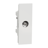 Ổ Cắm Anten TV Size S Schneider AvatarOn A Mã M3T1TV75M_WE
