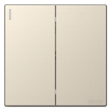 Bộ Công Tắc Đôi 1 Chiều vuông Màu Sâm Panh Simon S6 581021-46