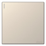 Bộ Công Tắc Đơn 20A 2 Chiều Vuông Màu Sâm Panh Simon S6 582024-46