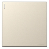 Mặt Trước Bộ Công Tắc Đơn Trung Gian Vuông Màu Sâm Panh Simon S6 581026-46