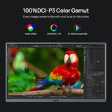 Màn Hình Di Động ARZOPA A3C Pro OLED 13.3