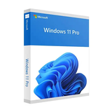 Key / License Win 11 PRO