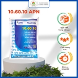 10.60.10 APN