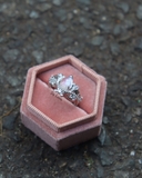 Nhẫn Vương Miện Đá Moonstone De Luna