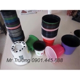 Máy in cốc 6 màu