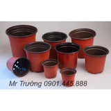 Máy in cốc 6 màu