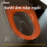 Bồn cầu điện tử Caesar CA1380H
