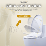 Bồn Cầu 1 khối CAESAR C1363F Nắp Rửa Điện Tử TAF610H