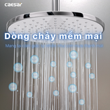 Thân cây sen tắm đứng nóng lạnh Caesar BS126